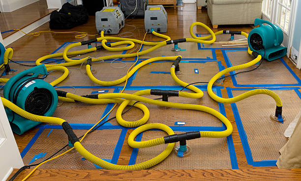 Professional Basement Flood Cleanup technician working in Homerville, GA